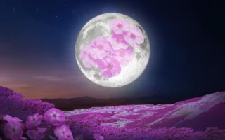 四月的「粉紅滿月」將照亮夜空 迎接春天