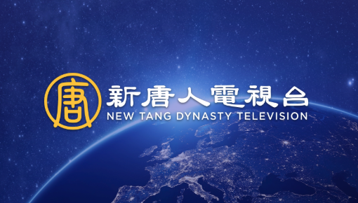 新唐人电视台2026节目改版通告