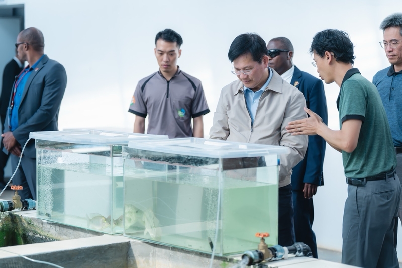 中華民國總統特使林佳龍視察台史合作「水產養殖研究與生產中心」大規模魚苗培養技術。