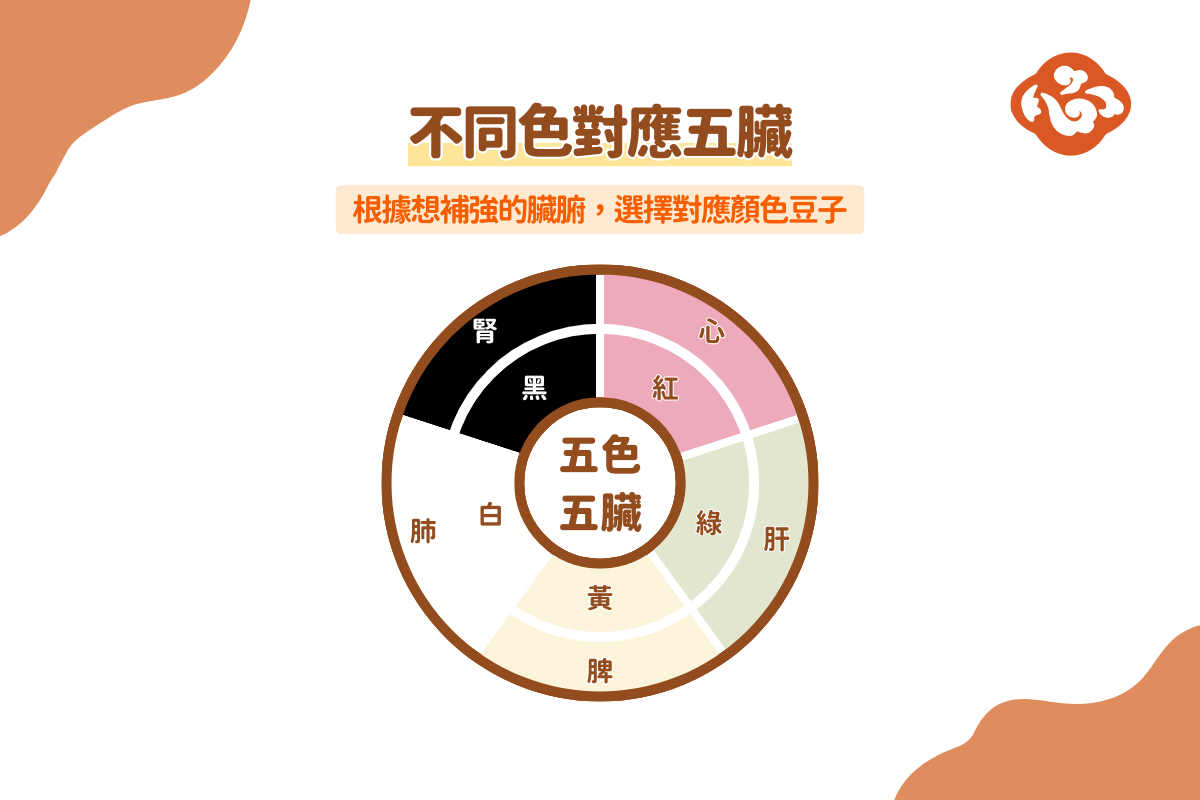 五色入五臟,中醫認為「黑色對應腎臟」,黑豆入腎經,最能補腎益氣。(醫道心傳製作組製圖)