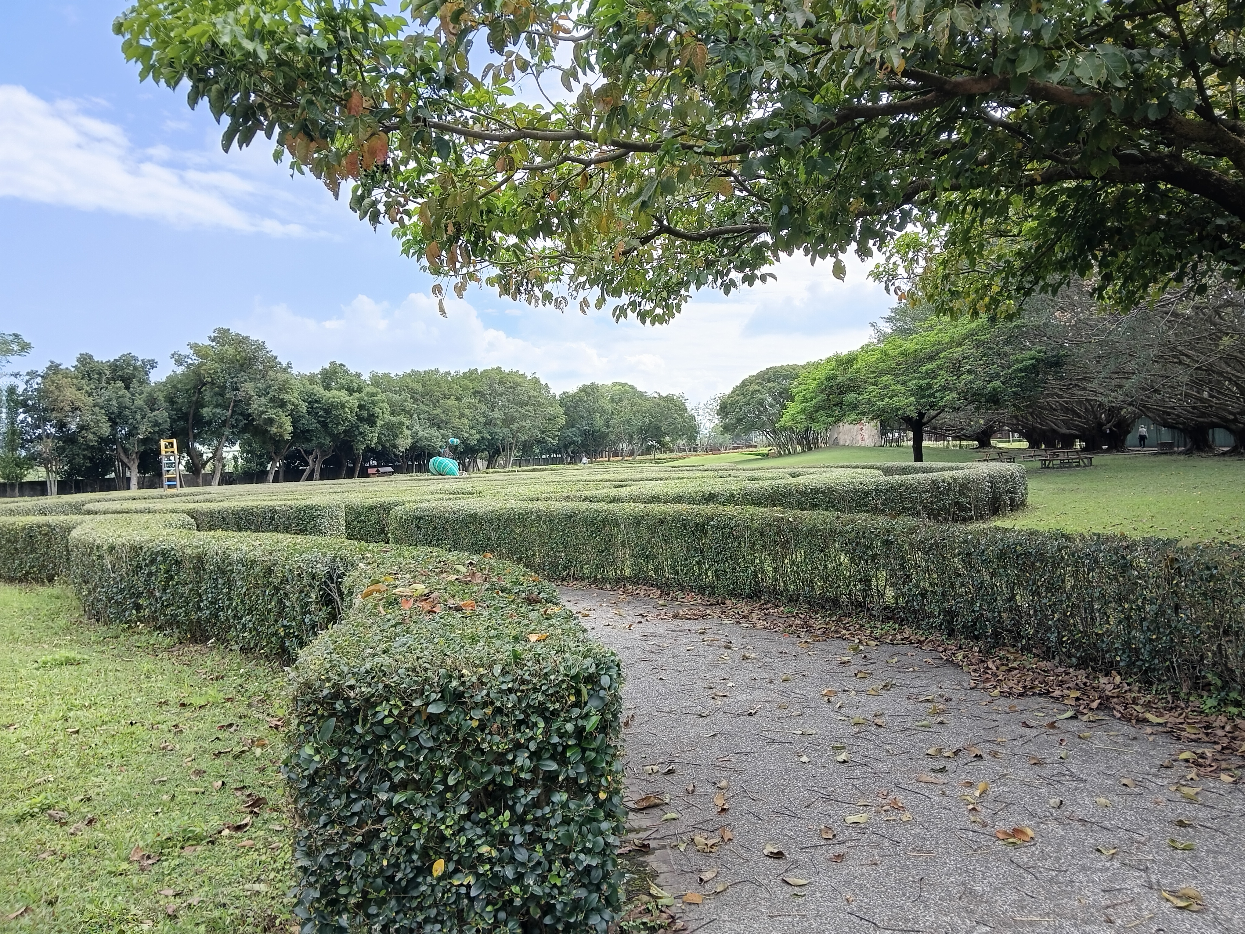 由矮樹籬笆圍成的綠色迷宮,以及寛敞園區可以縱情跑跳。(圖/王知涵提供)