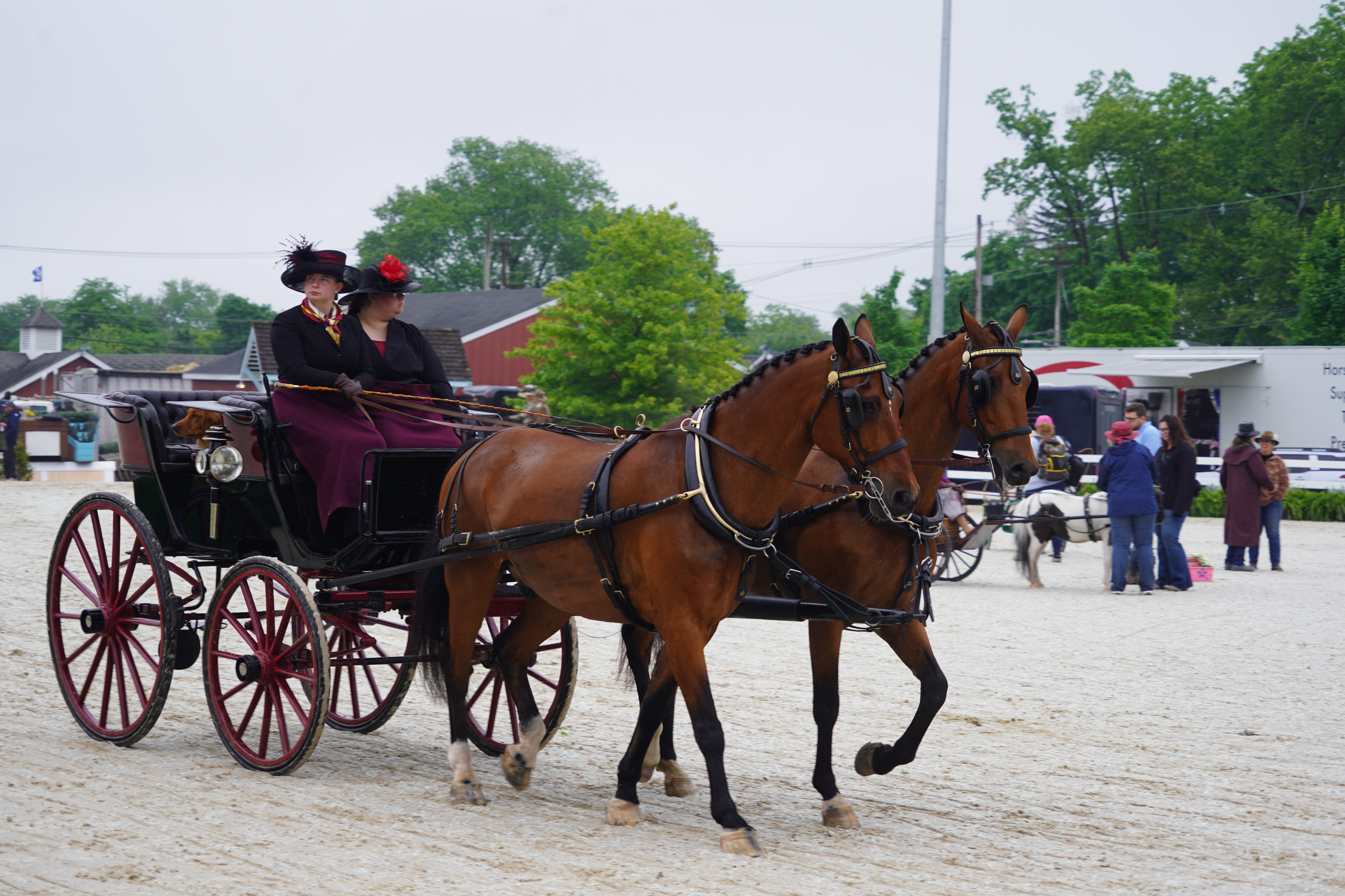 2026年德文馬術展與鄉村嘉年華活動(Devon Horse Show and Country Fair)於5月20日至5月31日在賓州德文市舉行。(李曉蘇/大紀元)