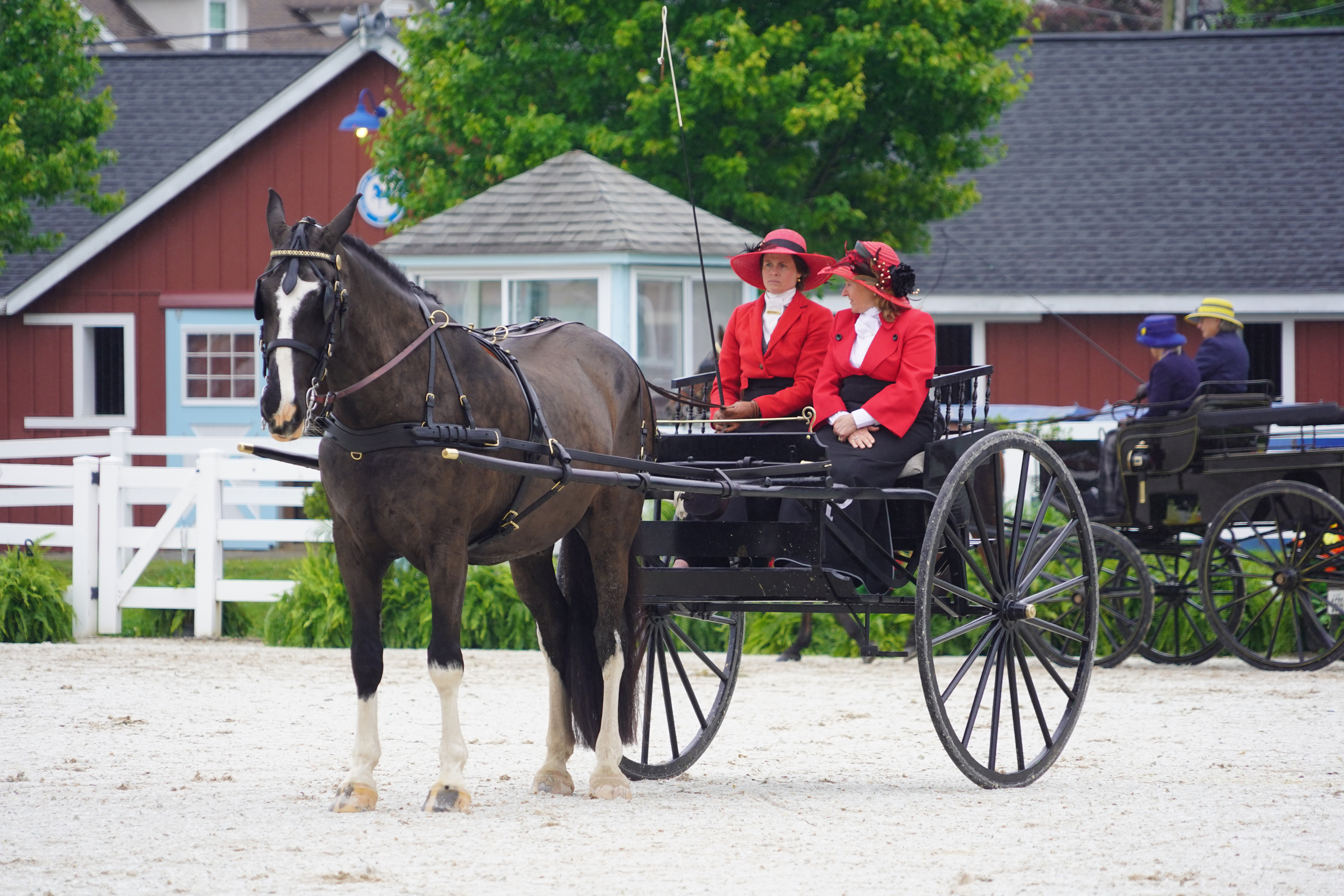 2026年德文馬術展與鄉村嘉年華活動(Devon Horse Show and Country Fair)於5月20日至5月31日在賓州德文市舉行。(李曉蘇/大紀元)