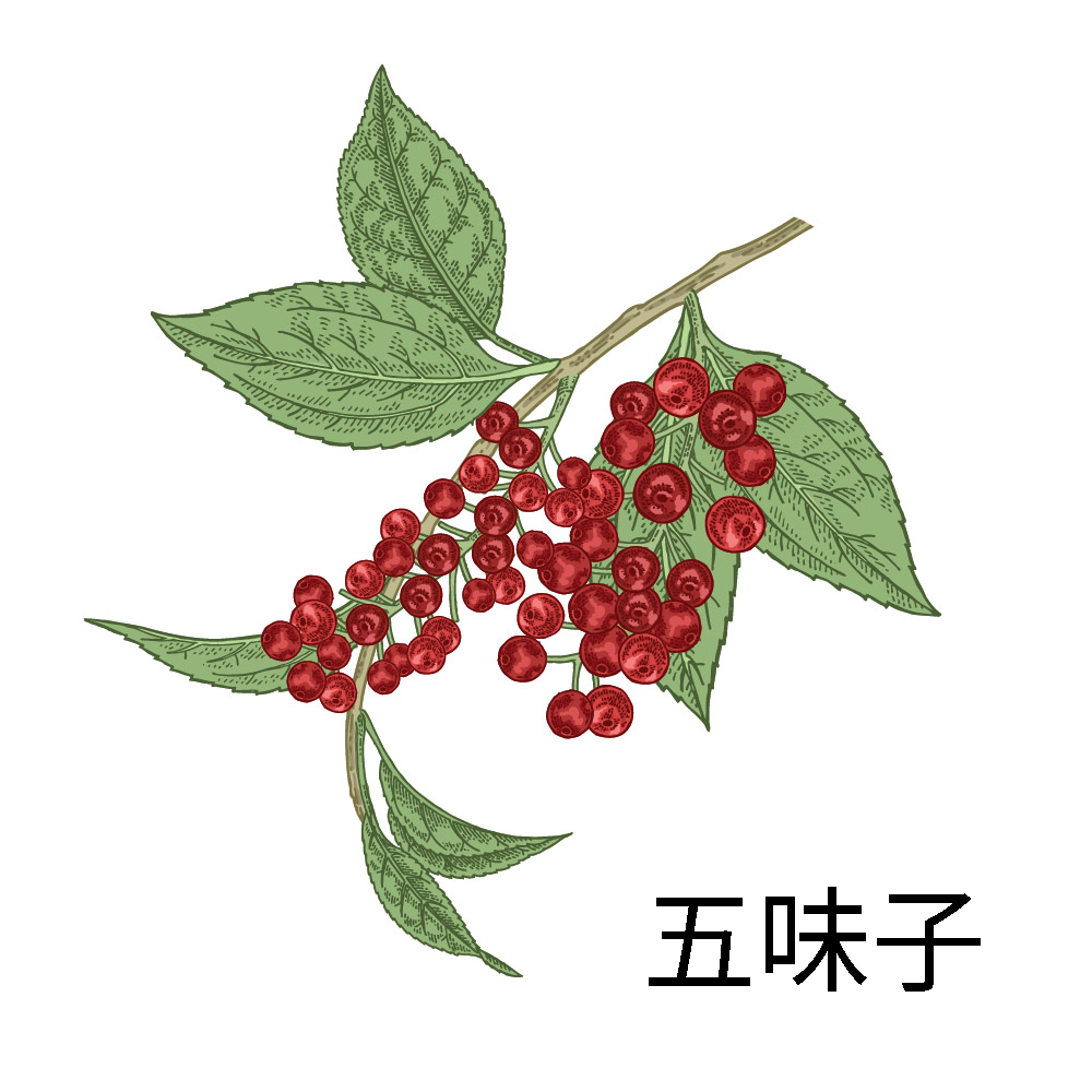 五味子的特長在於收斂止汗,減少體液的過度流失,從而避免脫水與津液耗損。(Shutterstock/大紀元)