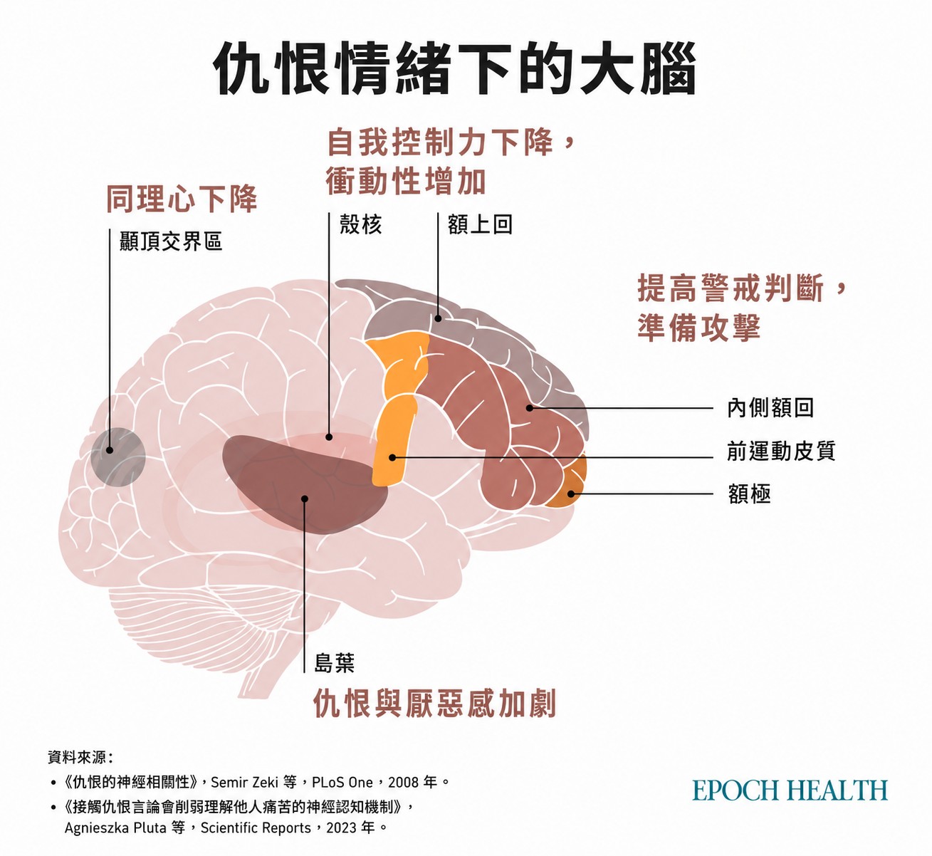 同理心下降、衝動控制失靈、警戒和攻擊準備同步升高,恨在大腦裡不是一個開關,而是多個區域同時被重新配置的結果。(製圖/Epoch Health)
