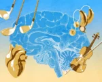 如何延緩大腦老化 專家提出4個關鍵習慣
