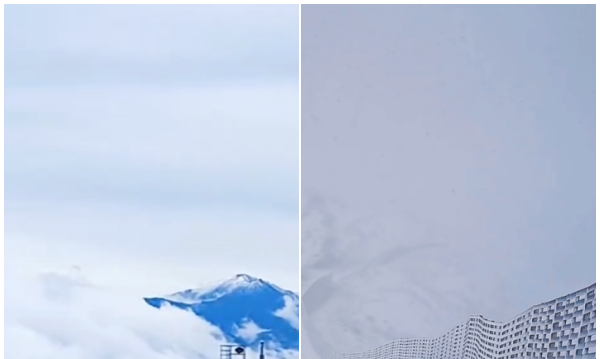北京“6月飞雪”冲热搜榜 引热议