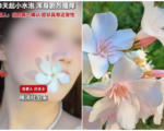 福建女生口含夹竹桃拍照 2天后悲剧发生了