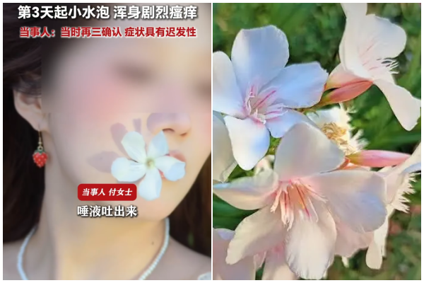 福建女生口含夾竹桃拍照 2天後悲劇發生了