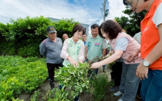 豪雨农损8千万 落花生最惨