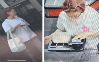 法拉盛华女被控跨州性交易及经营地下赌档