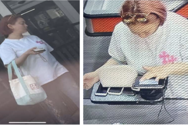法拉盛華女被控跨州性交易及經營地下賭檔