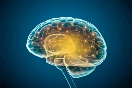大脑老了变笨？科学家：一招启动大脑逆生长