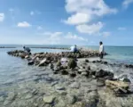 吉貝保滬隊守著石滬 也守著一門海上老技藝
