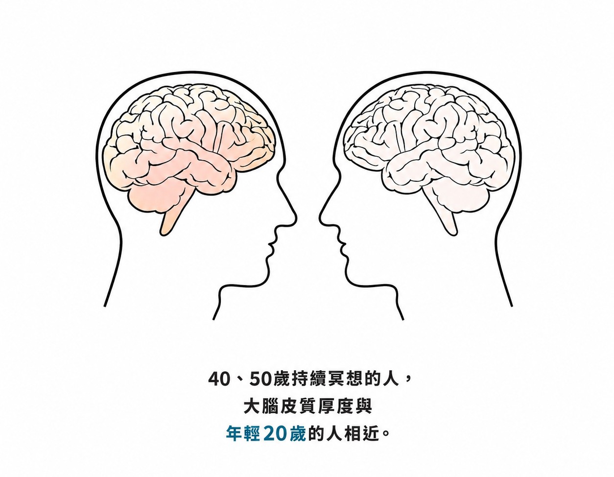 研究觀察到,40至50歲長期規律冥想的人,大腦皮質厚度與年輕20歲左右的人相近,顯示冥想可能與延緩大腦老化有關。Illustration by The Epoch Times/Shutterstock
