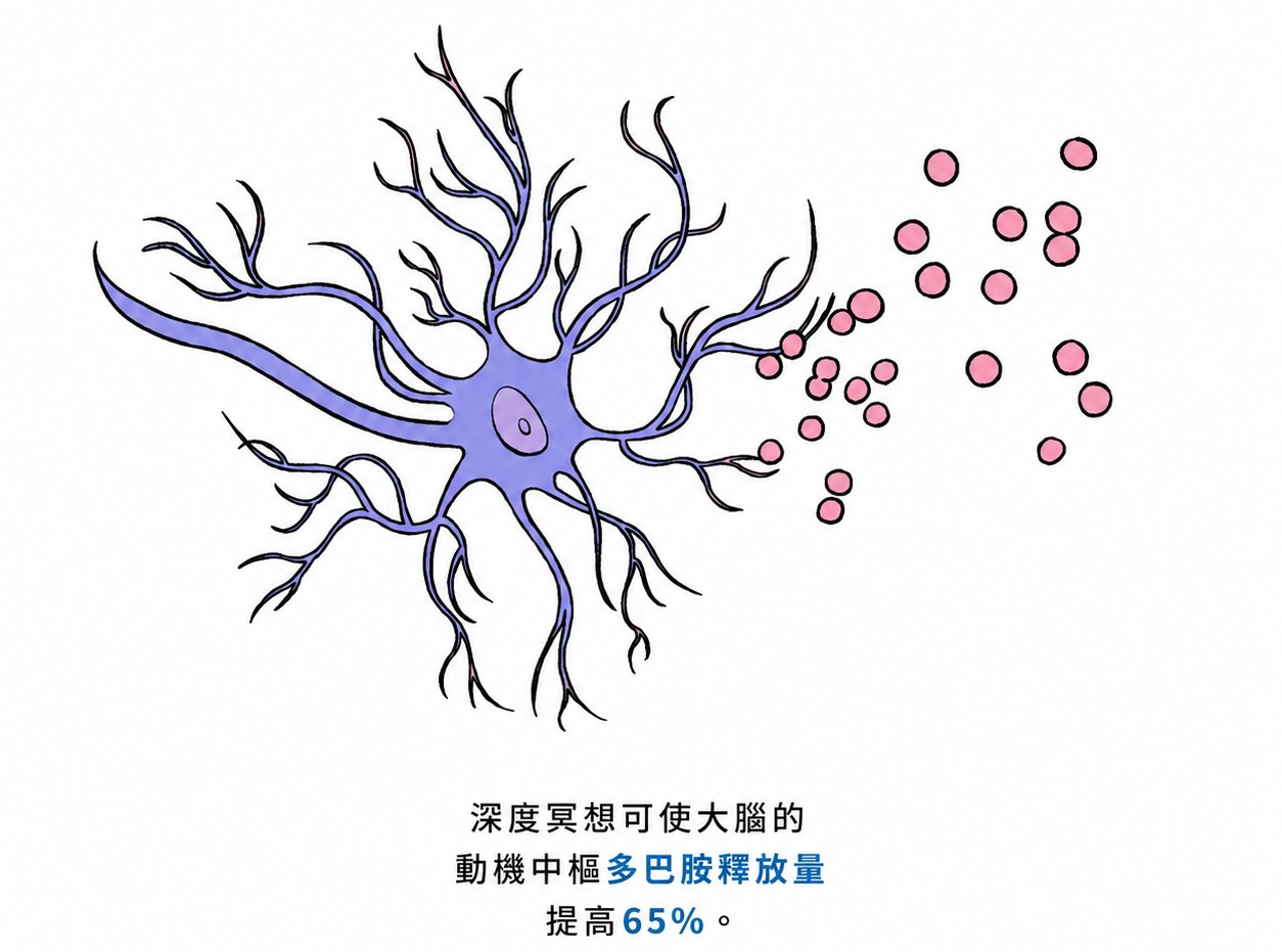 研究顯示,深度冥想可使大腦動機中樞釋放的多巴胺(與愉悅感、動力及專注力相關的神經傳導物質)提高約65%。(The Epoch Times/Shutterstock)