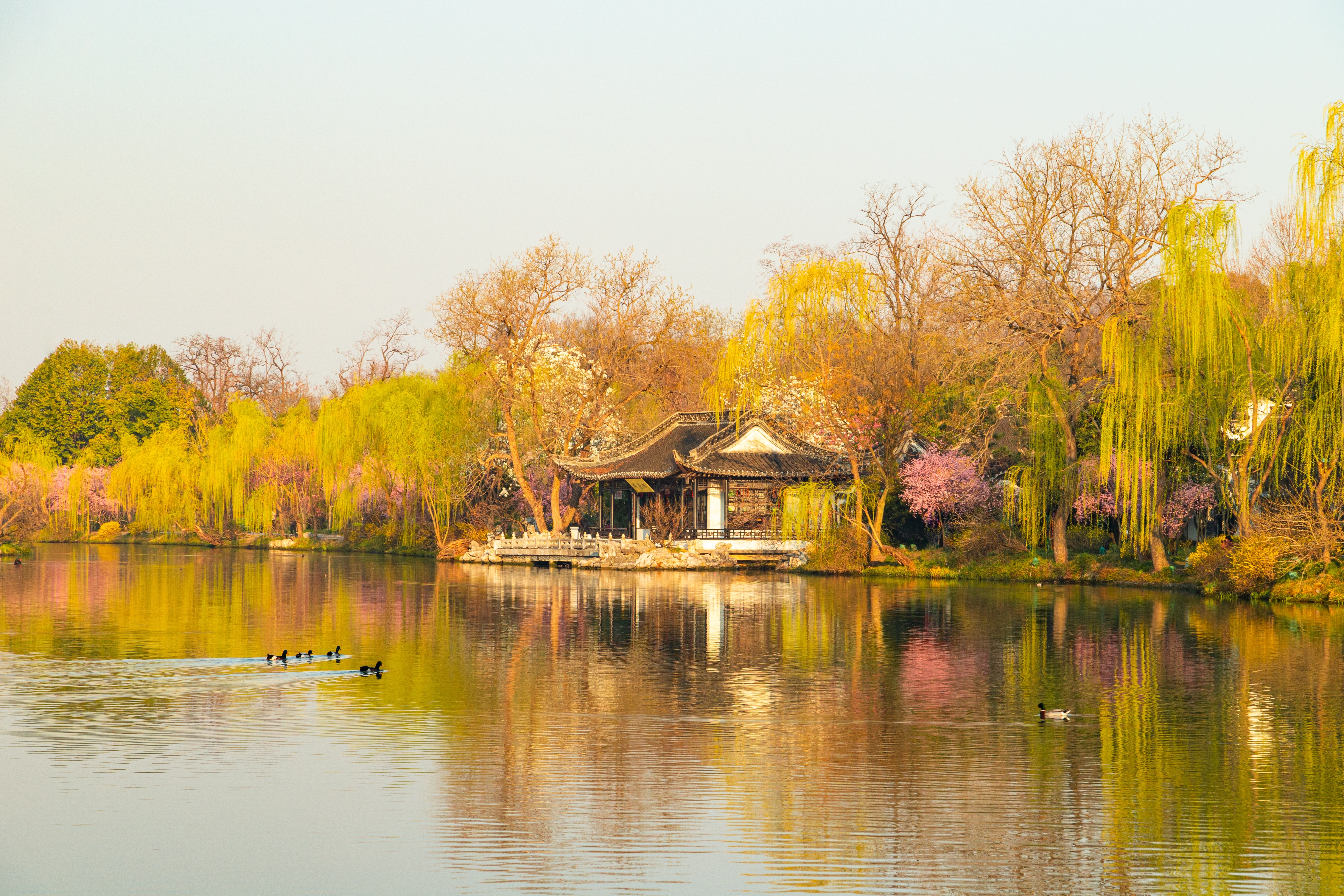 揚州瘦西湖春景。(Shutterstock)