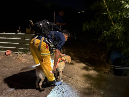 搜救犬除投入重大灾害搜救外,在失踪人口协寻勤务亦能发挥敏锐嗅觉及专业搜索能力,大幅提升搜寻效率。