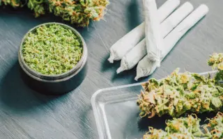 四氫大麻酚在體內積累 影響免疫系統