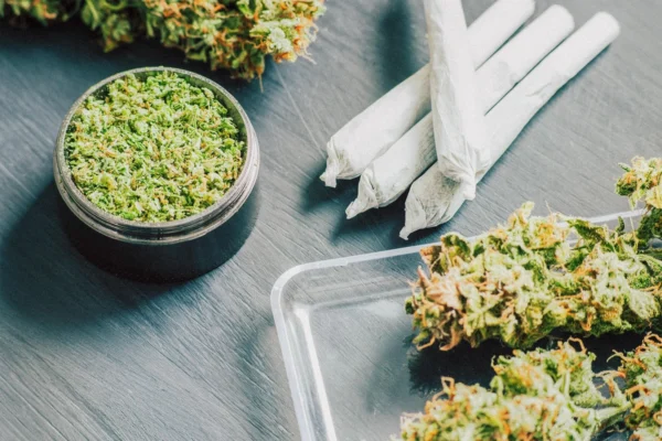 四氢大麻酚在体内积累 影响免疫系统
