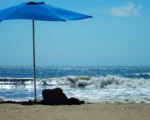 【名家专栏】夏日海滩：尽情欢乐 敬畏自然