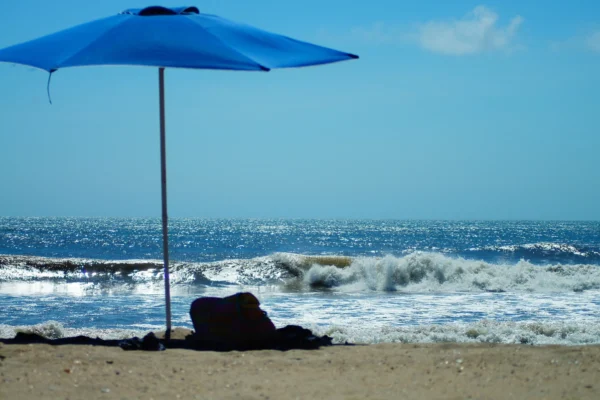 【名家专栏】夏日海滩：尽情欢乐 敬畏自然