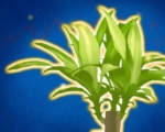 植物有意识吗?科学探索感知与记忆