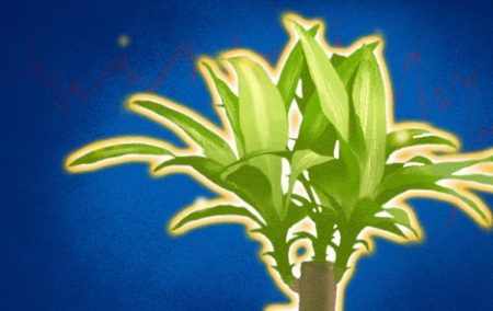 植物有意識嗎?科學探索感知與記憶