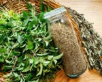 下午3點昏沉時 比咖啡溫和的提神選擇：薄荷茶