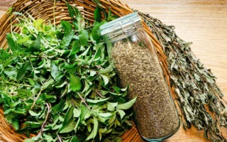 下午3点昏沉时 比咖啡温和的提神选择：薄荷茶