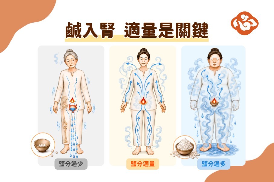 中医认为,肾阳具有温化、推动水液运行的作用。盐分过少或过多,都可能影响身体的水液平衡;图为中医肾阳与水液运化概念示意图,并非解剖或直接因果关系。 (医道心传制作组/大纪元)