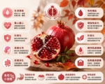 【嘉瑤食聊】秋天上市的紅玫瑰！石榴生津潤燥又養心