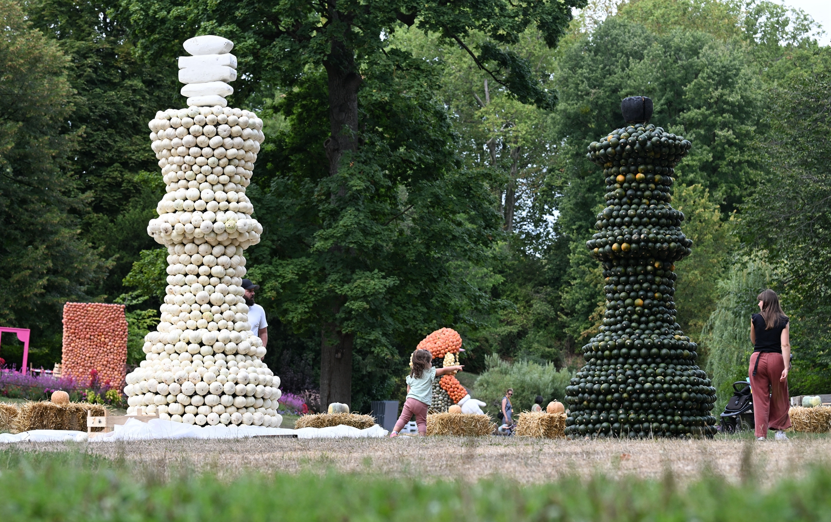2026年8月20日,德國路德維希堡巴洛克花園(Blühendes Barock),人們在觀看由南瓜製成的造型各異的巨型雕塑。(Thomas Kienzle/AFP via Getty Images)