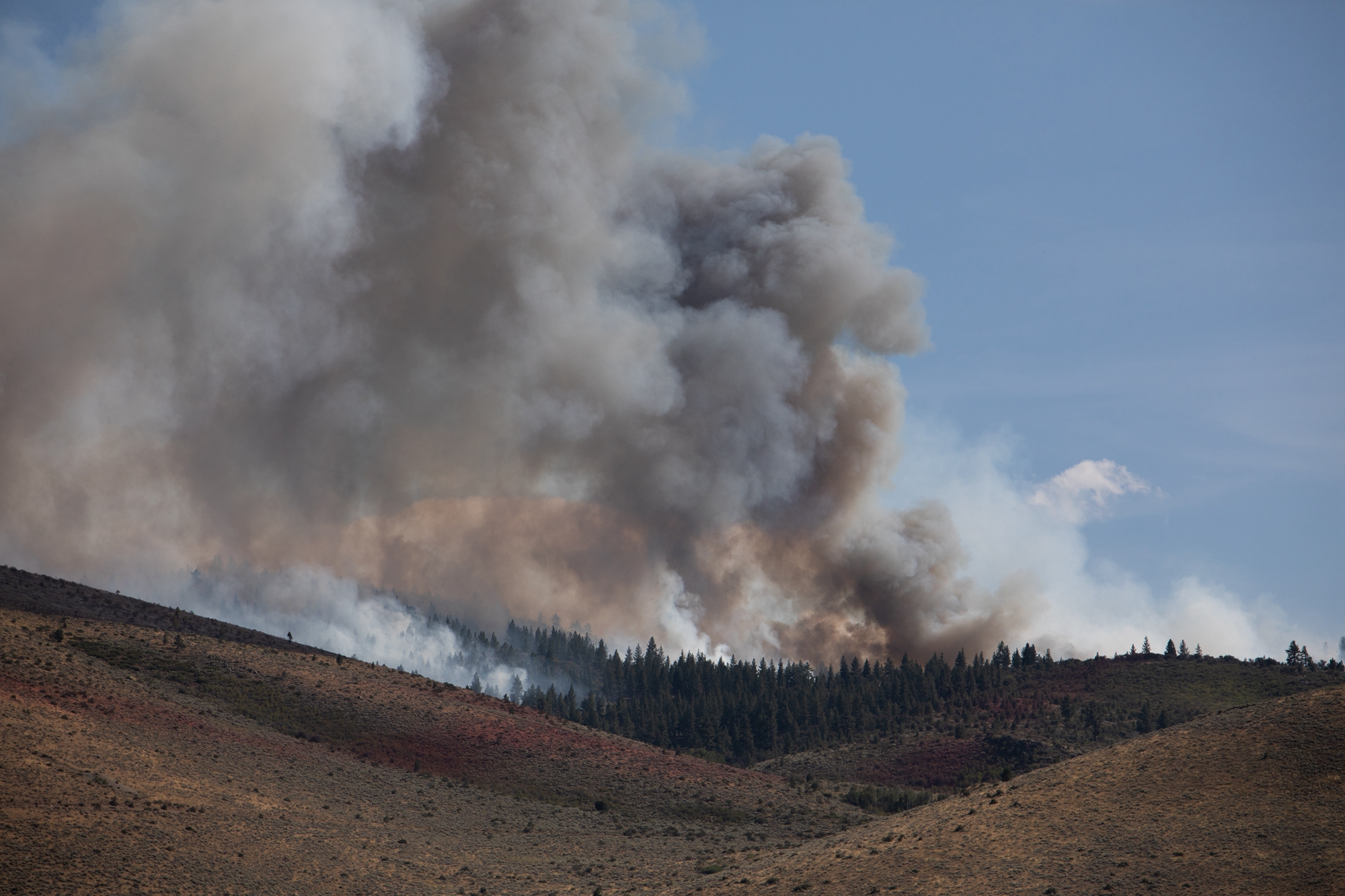 2026年8月23日,內華達州雷諾市(Reno)附近爆發的霍克大火(Hawk Fire)持續燃燒,火場上空濃煙滾滾。(Trevor Bexon/Getty Images)