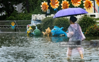 豪雨襲南台灣 水庫滿庫、農損擴大芭樂價格漲