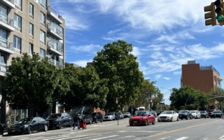 市府拟在班森贺和日落公园区多种树