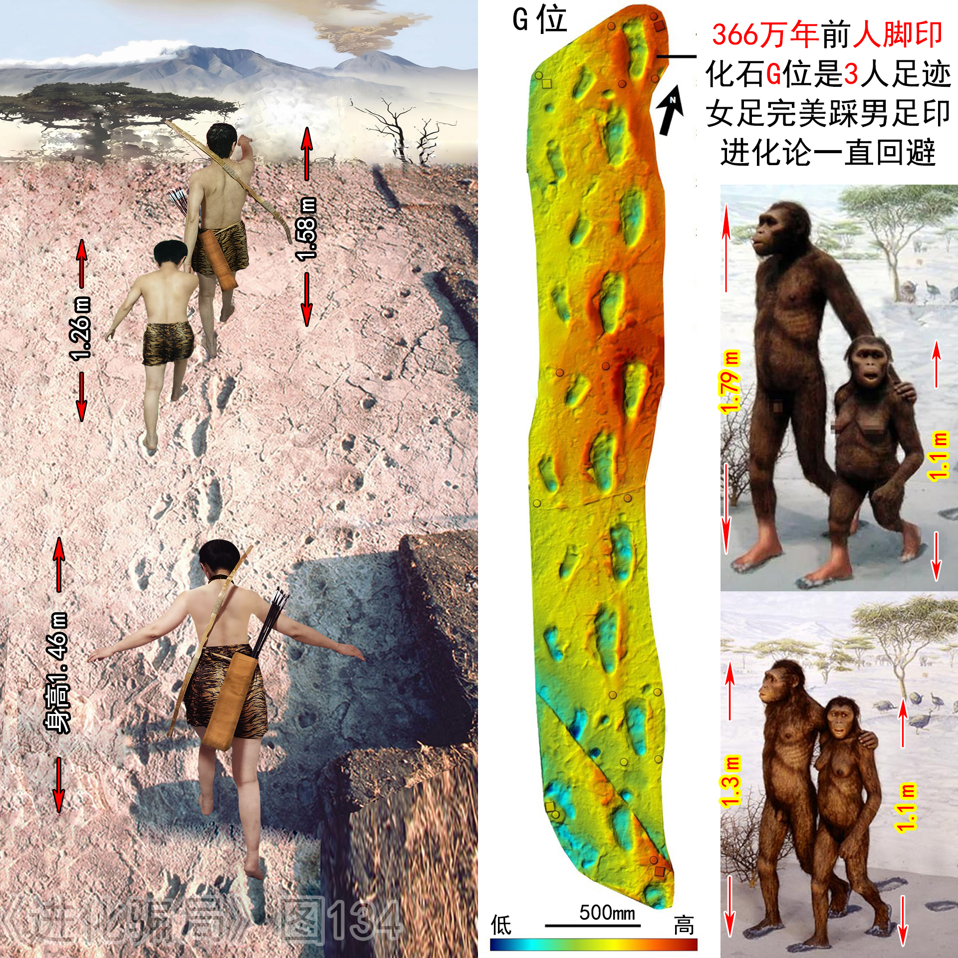366萬年前腳印化石G是3人踩出,進化論迴避,只造假弄出2隻人腳猿。(作者製圖,參考文獻9)